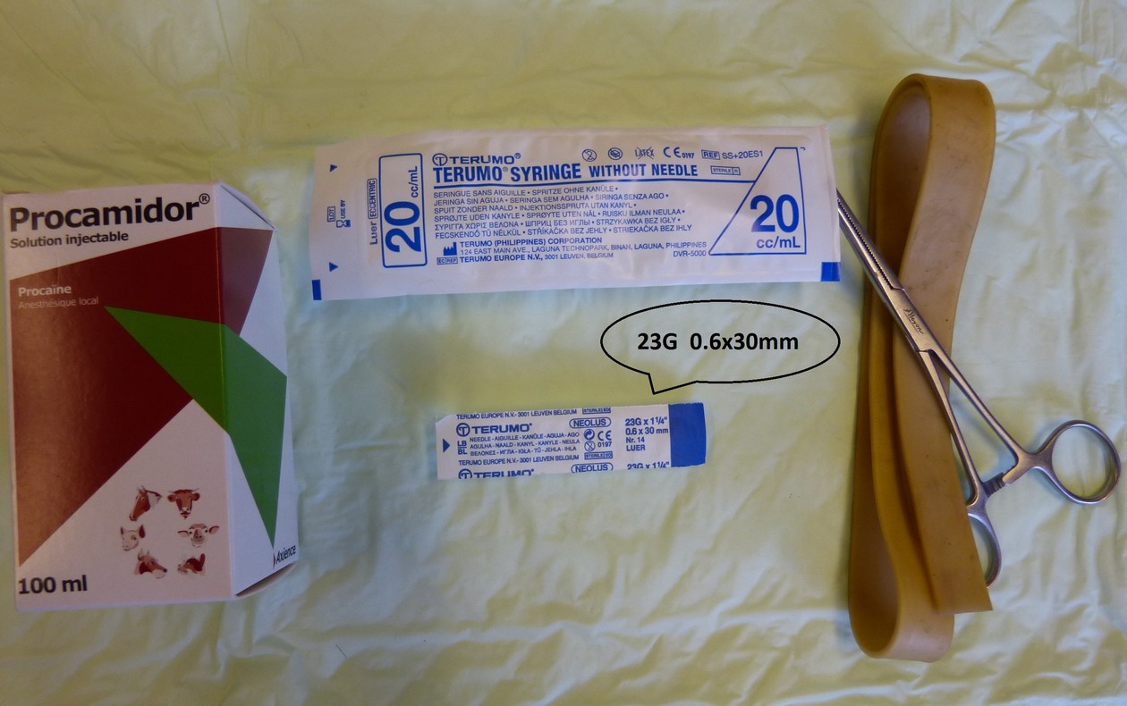 Figure 29 : Matériel nécessaire à l’anesthésie intra veineuse sous garrot